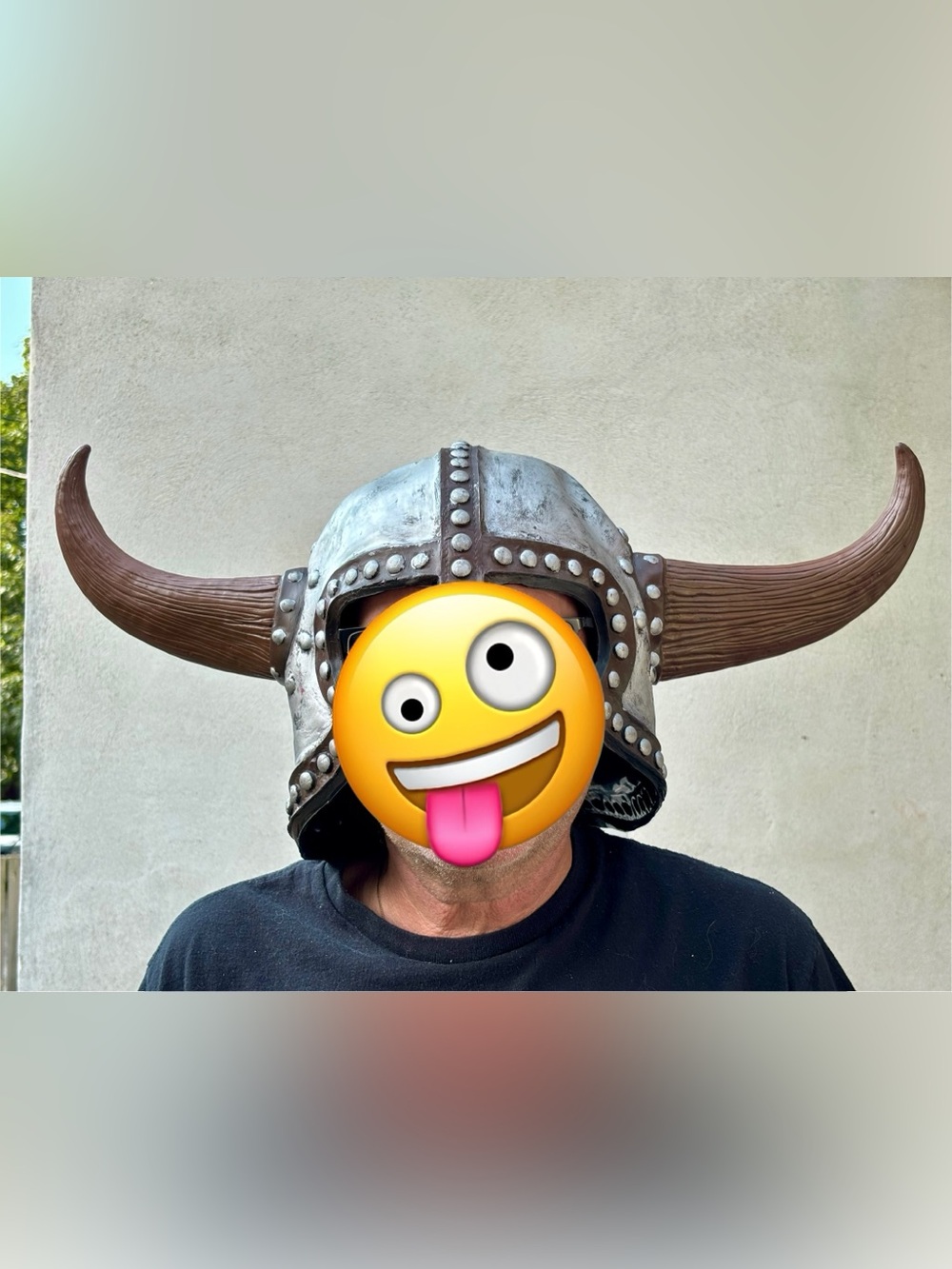 Epic Horned Viking
Costume Helmet / Barbarian
Hat